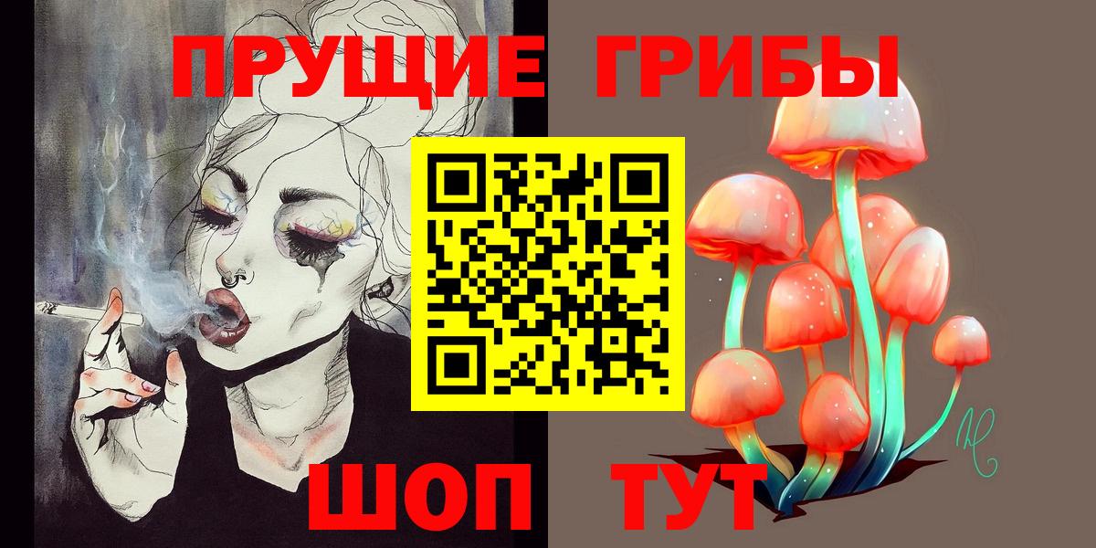 Псилоцибиновые грибы Psilocybe Тюмень